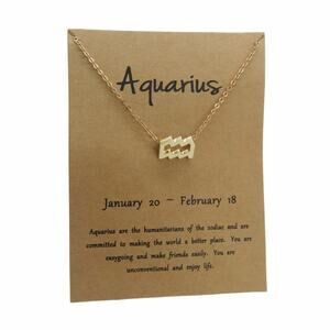 Francesca's Aquarius Pendant Necklace Horoscope Zodiac Necklace